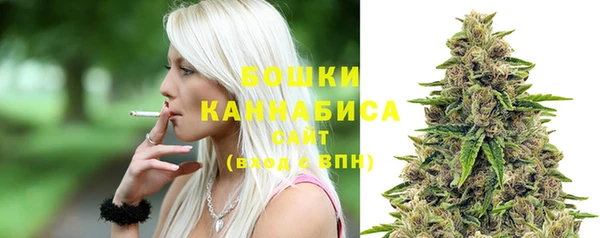 трава Армянск