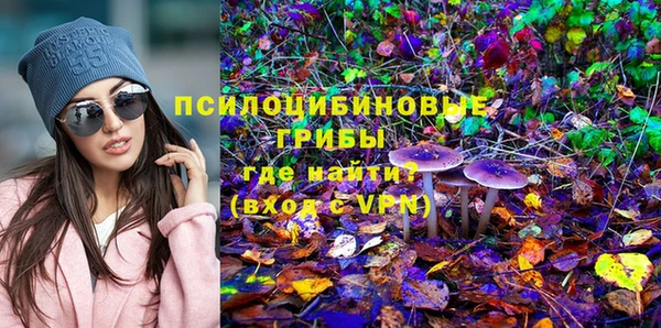 трава Армянск