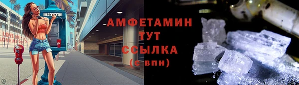 стаф Арсеньев