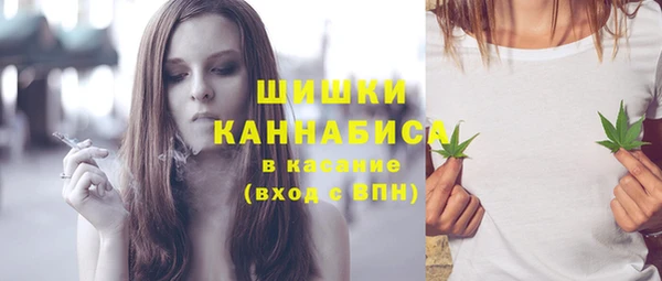 дживик Саяногорск