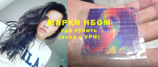 стаф Арсеньев